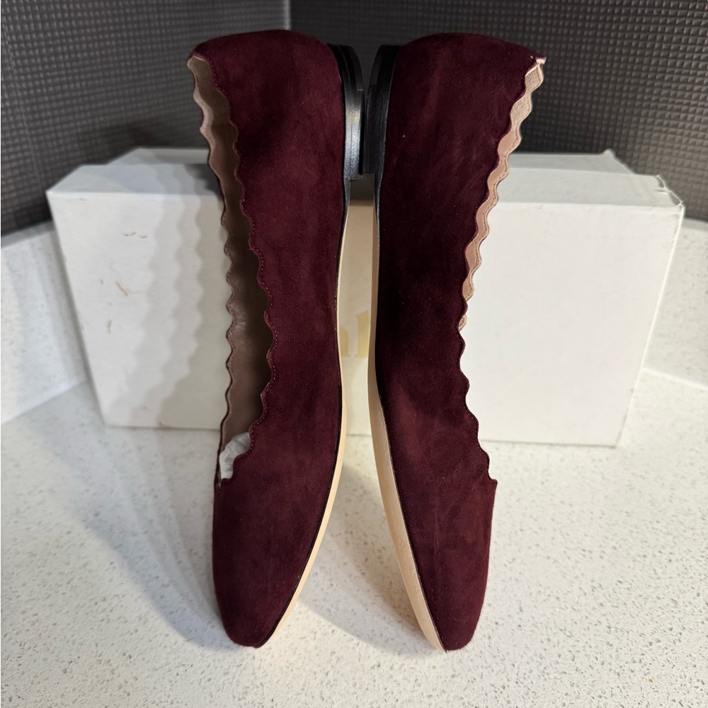 $550 Chloé Suede Scalloped Accent Ballet Flats Dark Red 38.5 NIB - Picture 4 of 8